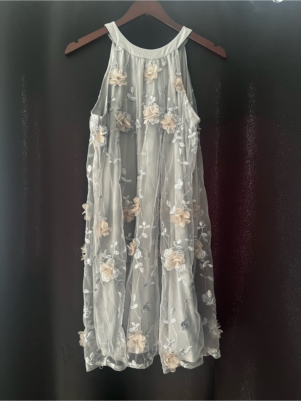 Delicate Embroidered Sheer Dress in Ivory with Floral Appliqués